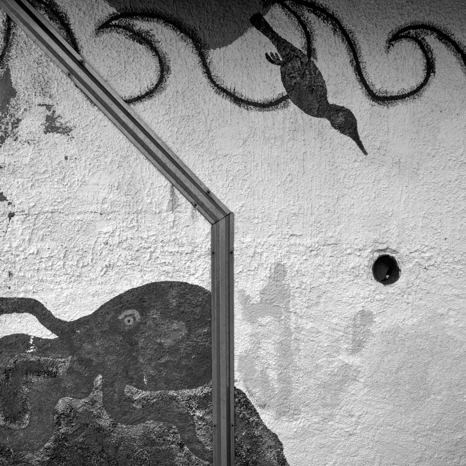 Cormorant Mural