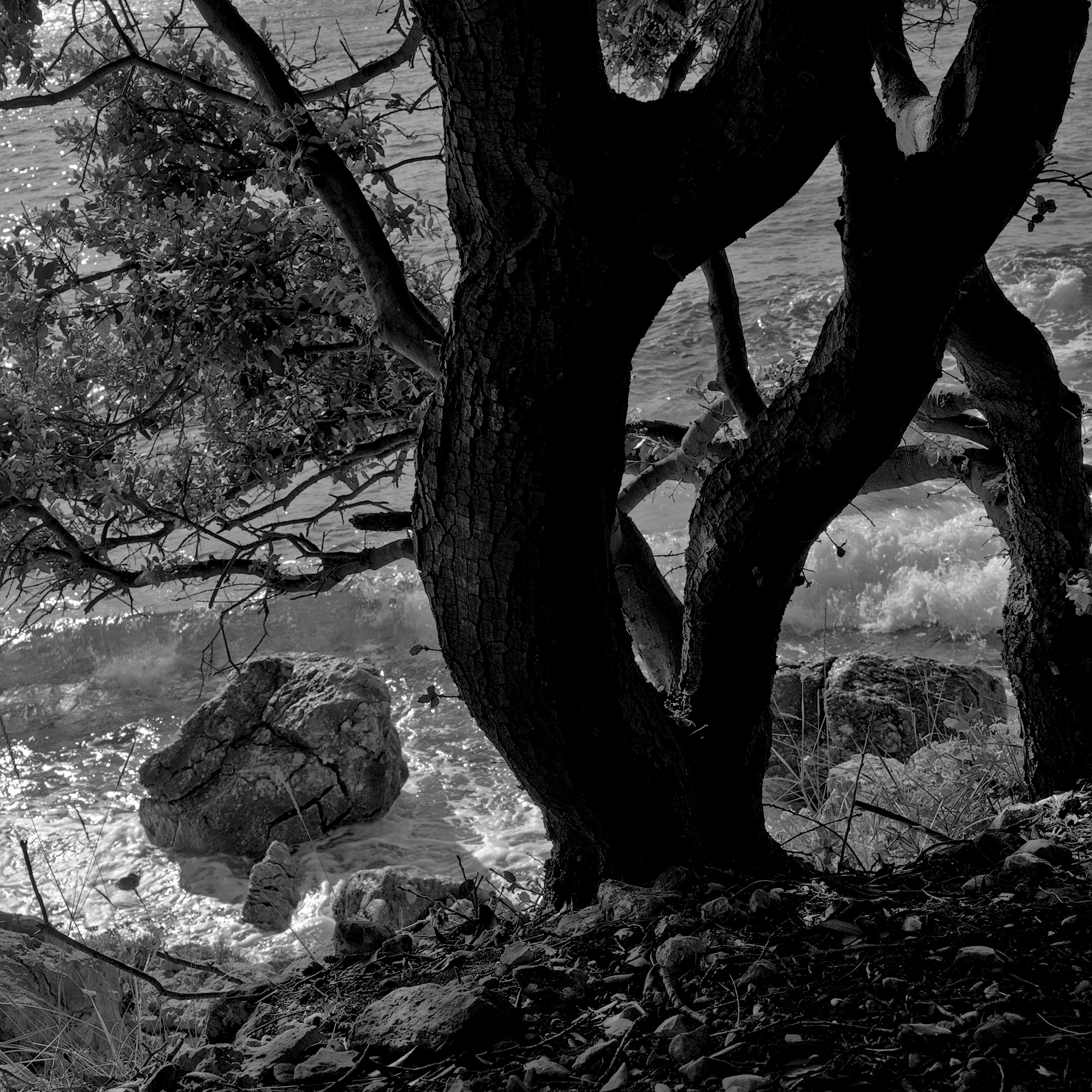 Discourse at the Beach II