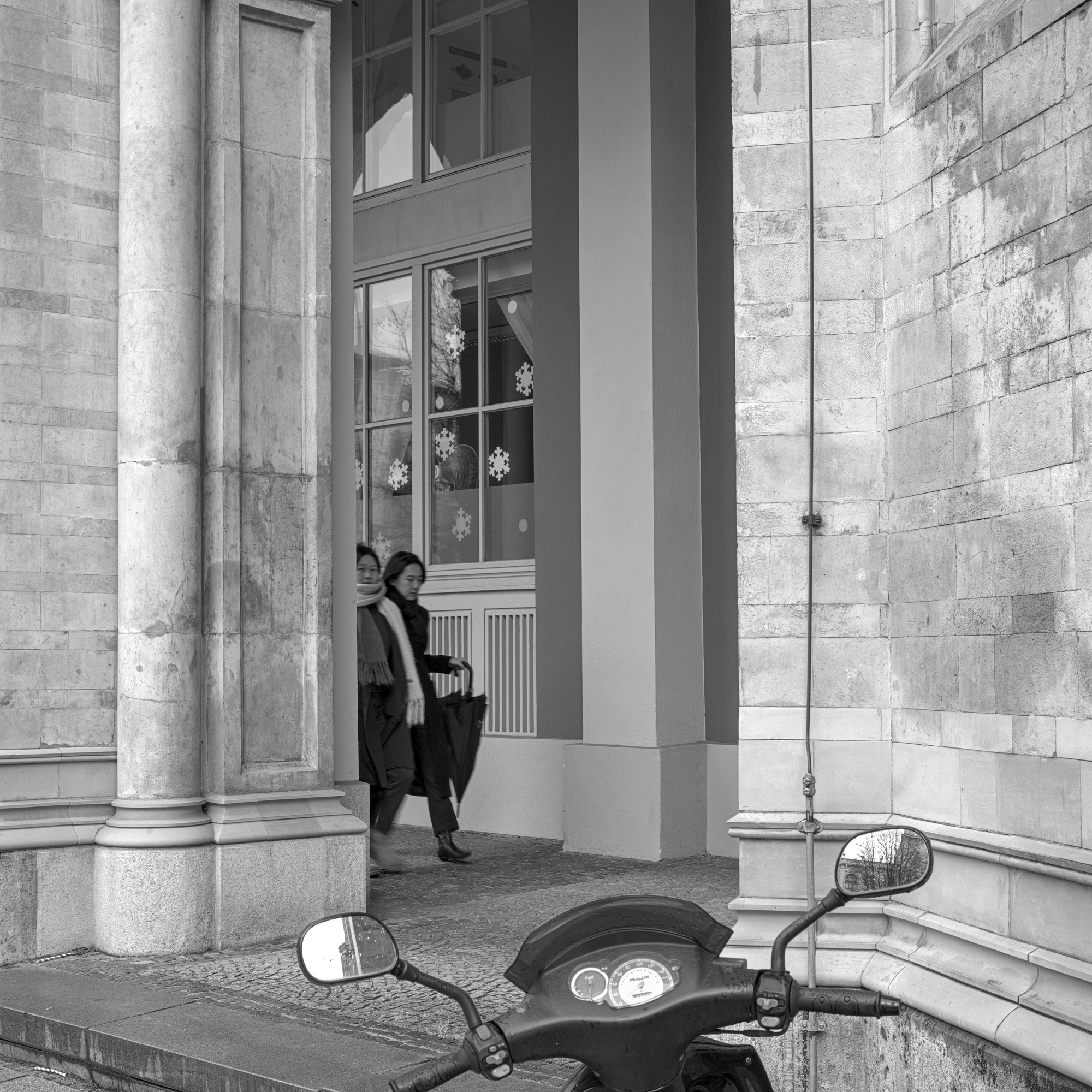 Encounter with Snowflakes