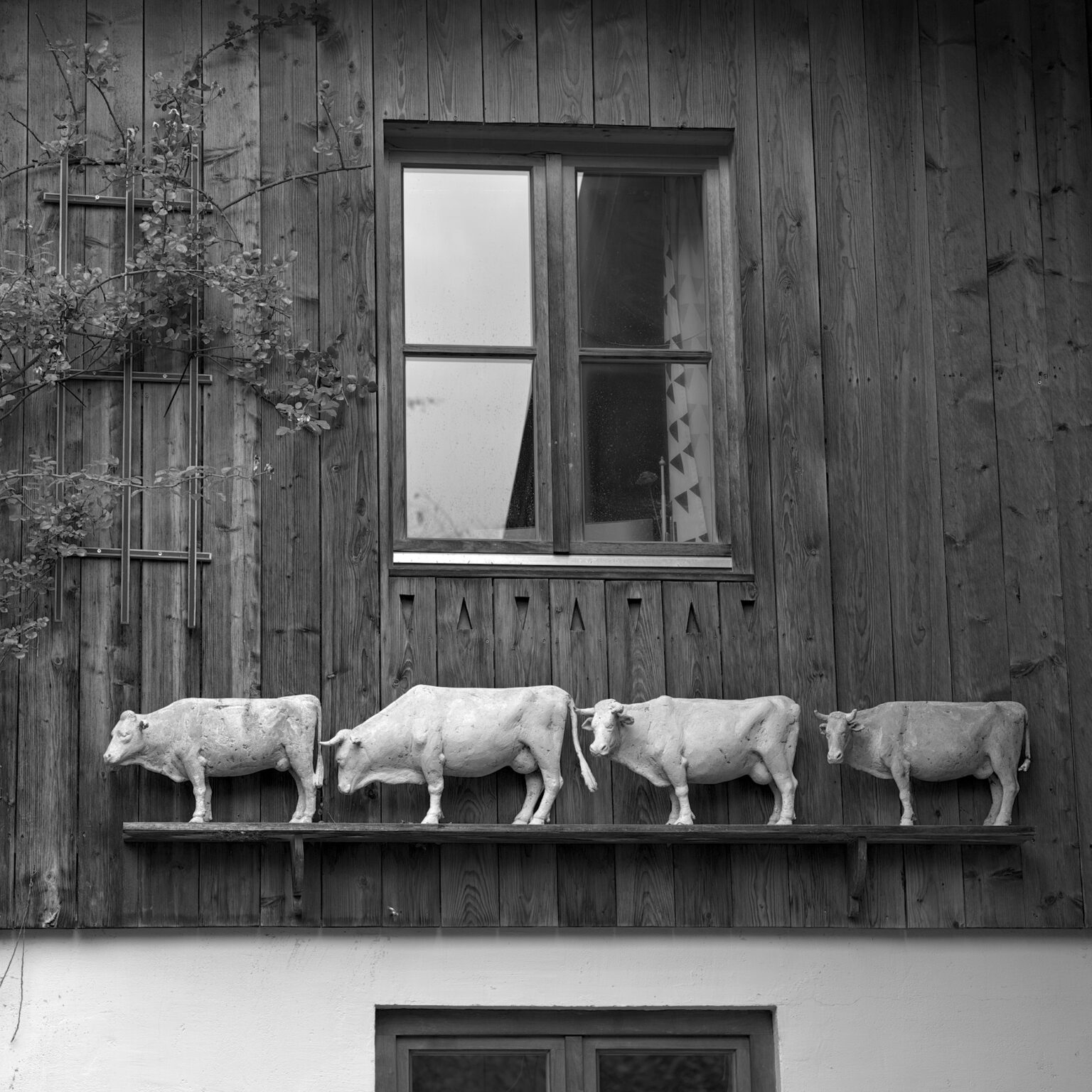High Pastures