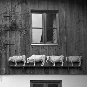 High Pastures