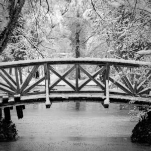 Monet might have loved it