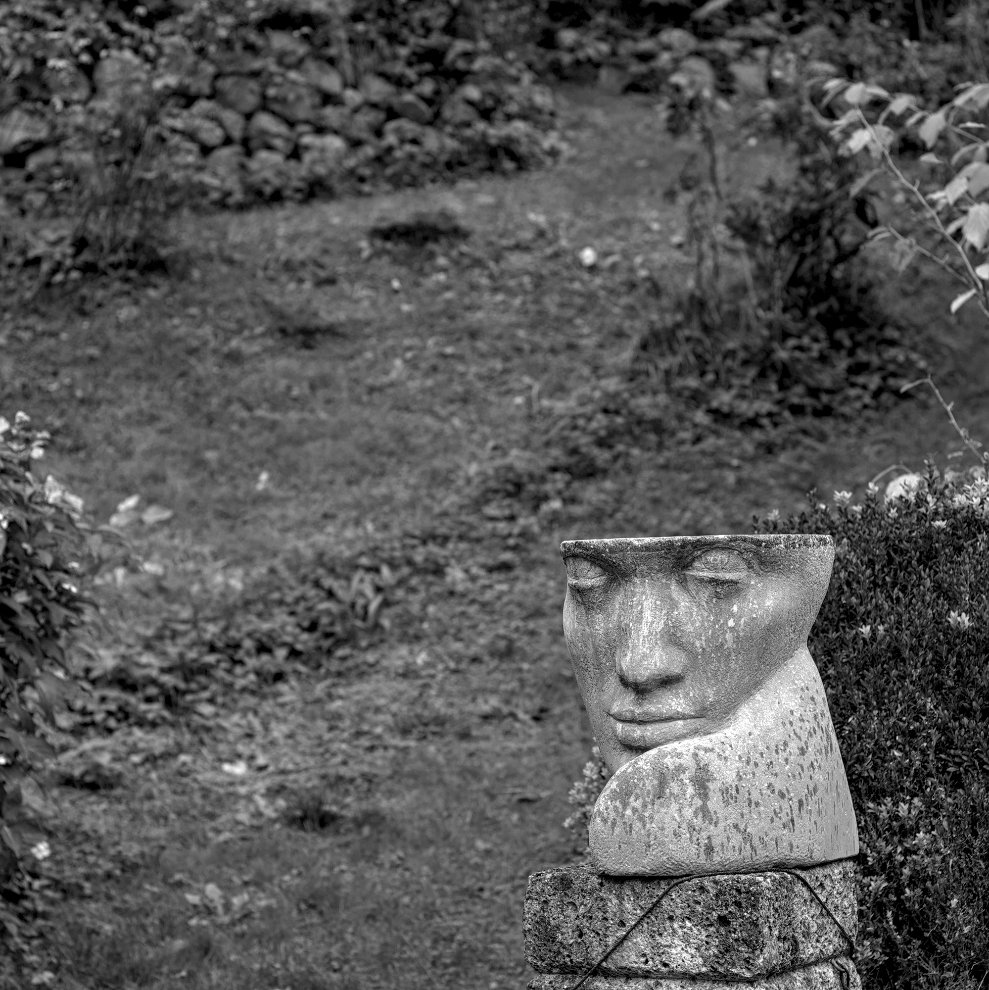 She’s looking at you