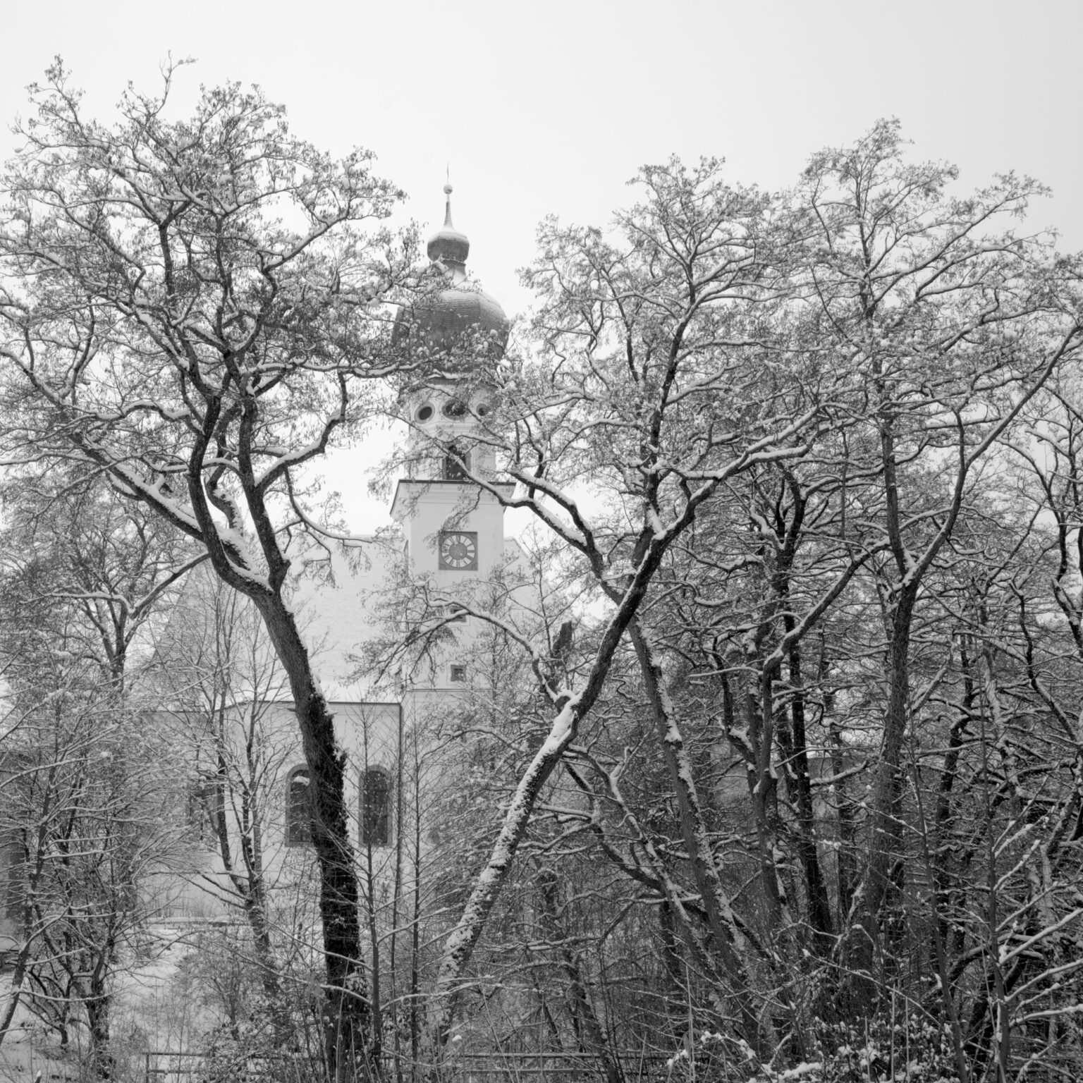 A Walk around Lake Höglwörth I