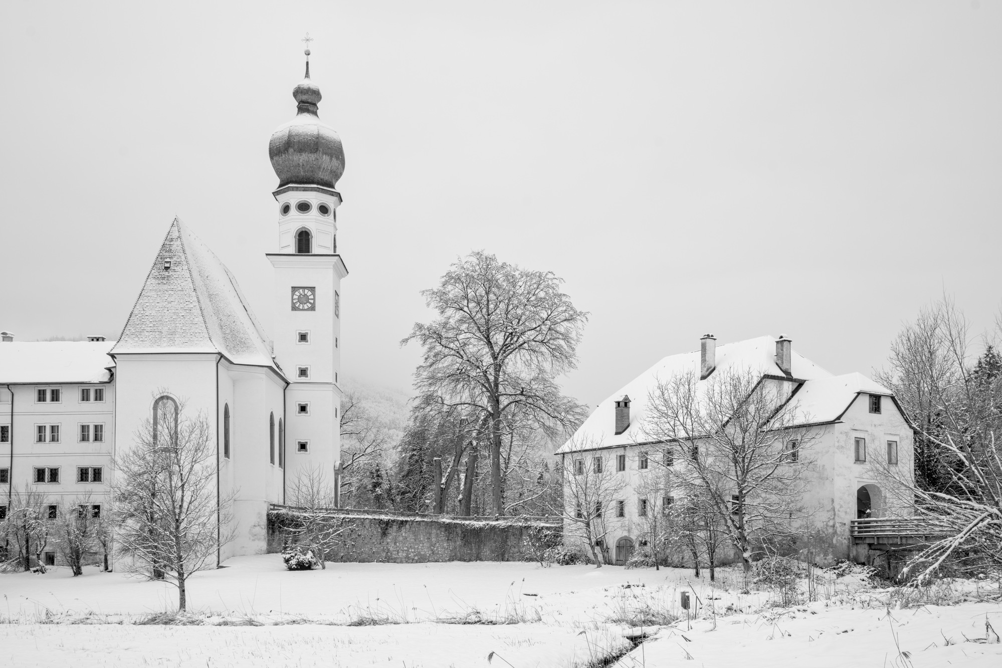 A Walk around Lake Höglwörth VII