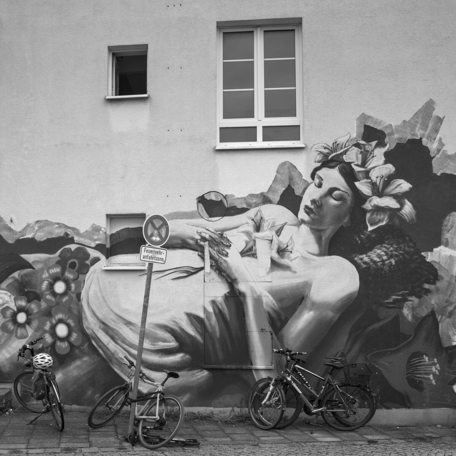 Dreaming of Bikes