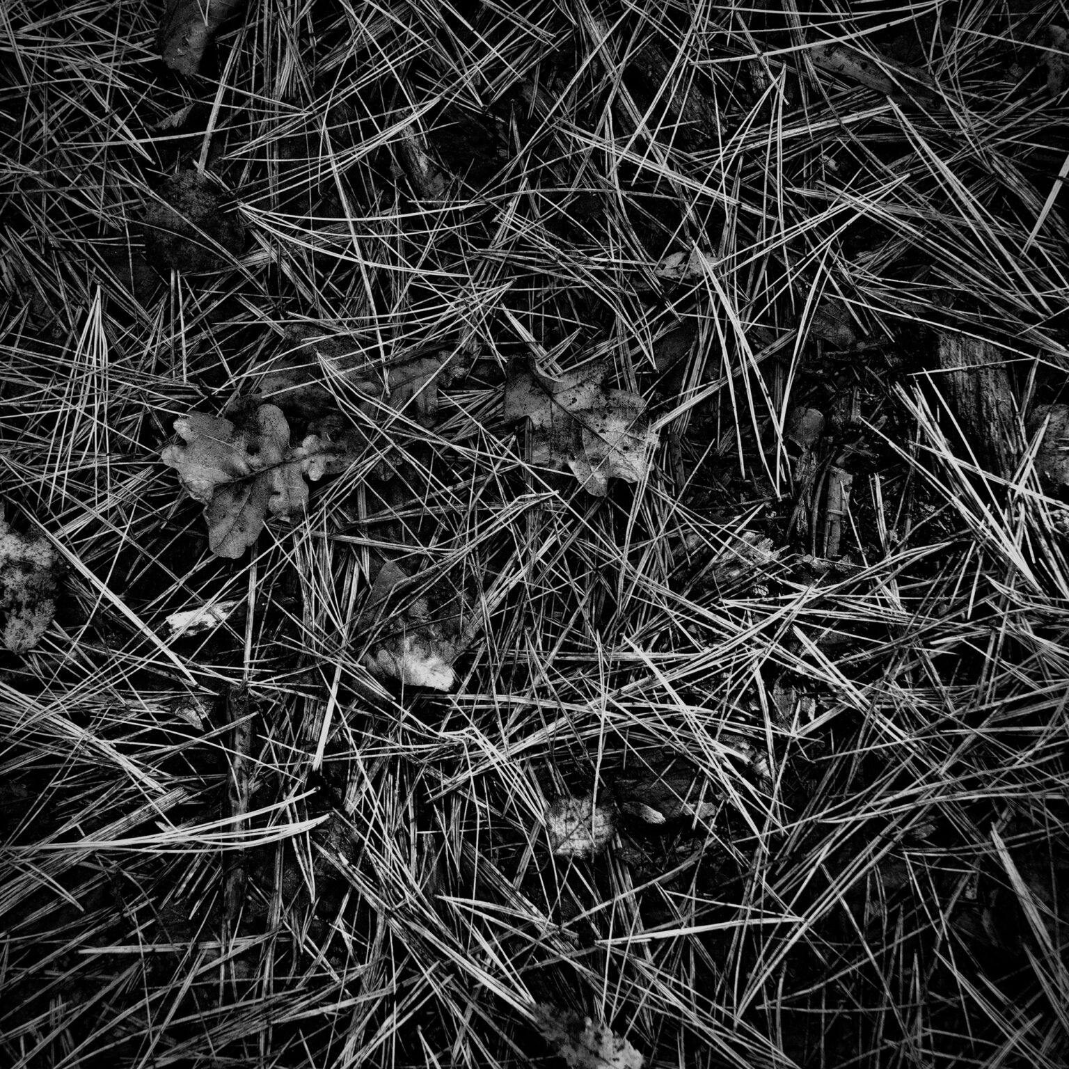Needle Flooring