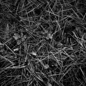 Needle Flooring