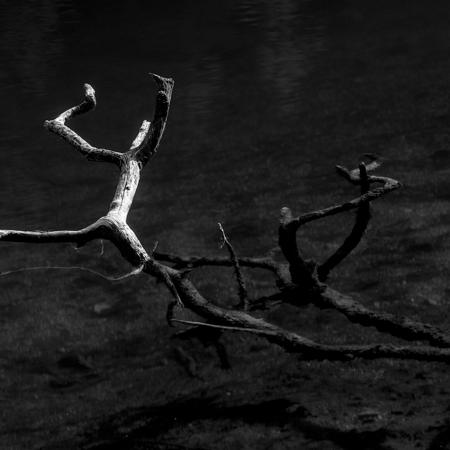 Dancing