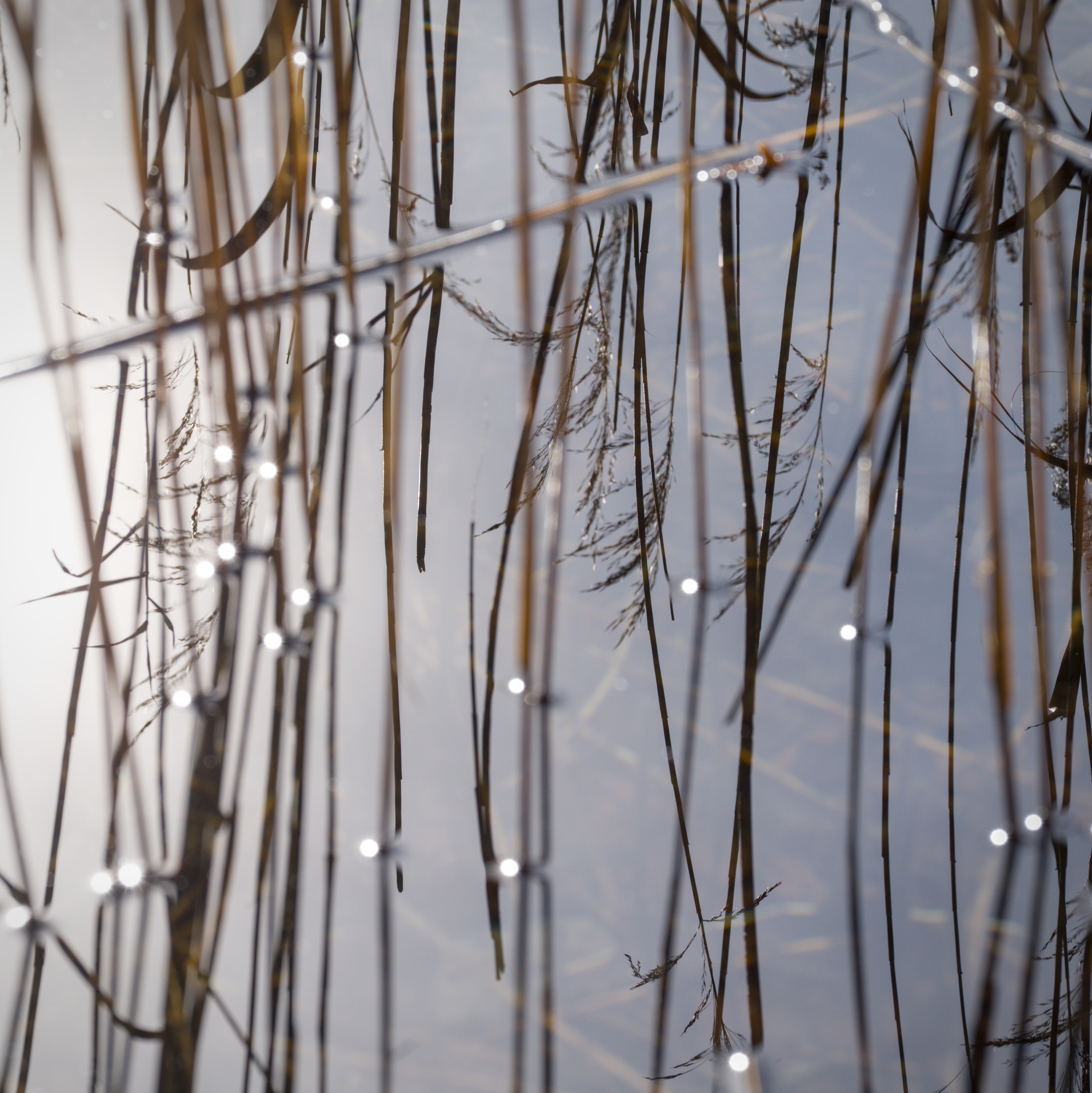 Diamonds are a Photographer’s best Friends