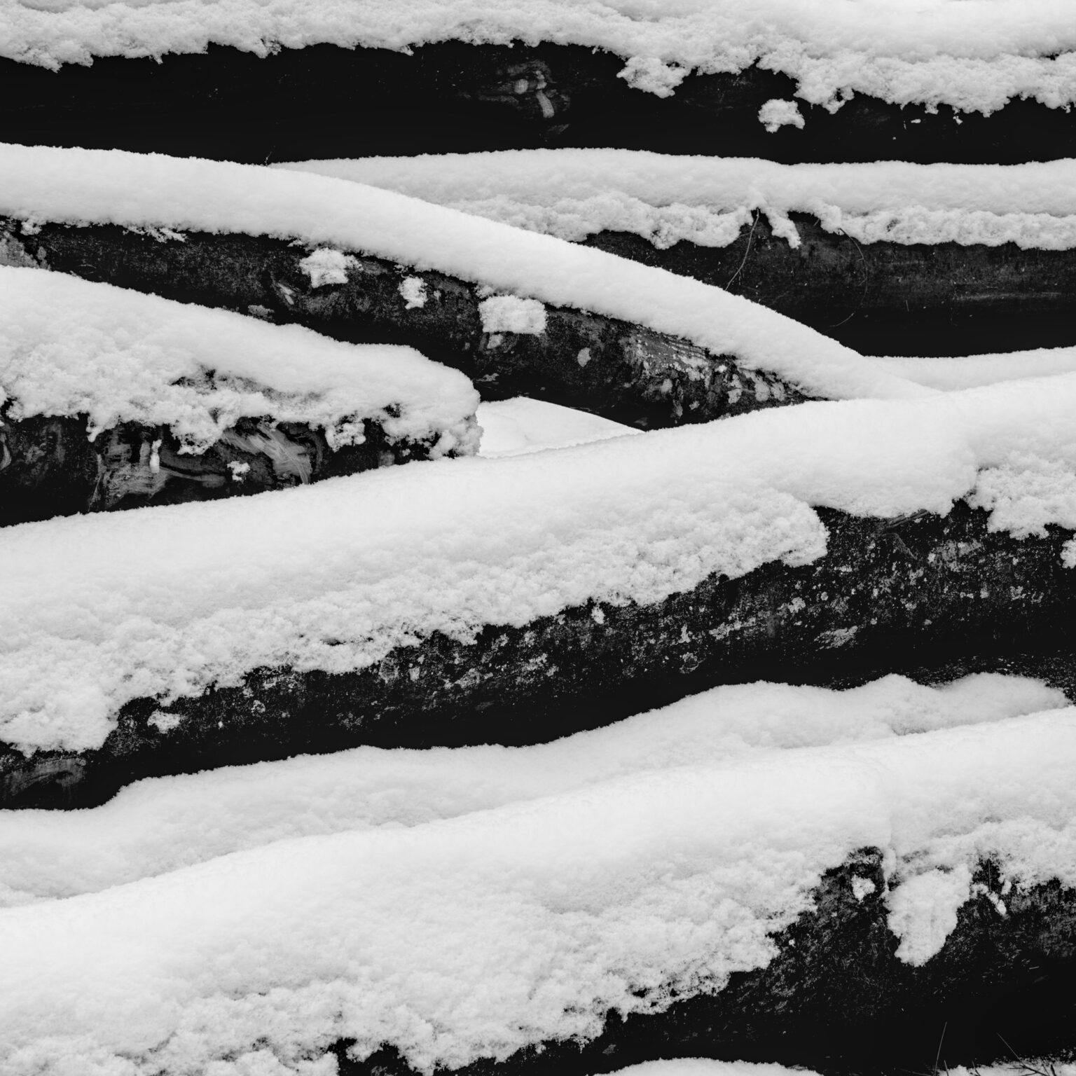 Heap of Logs