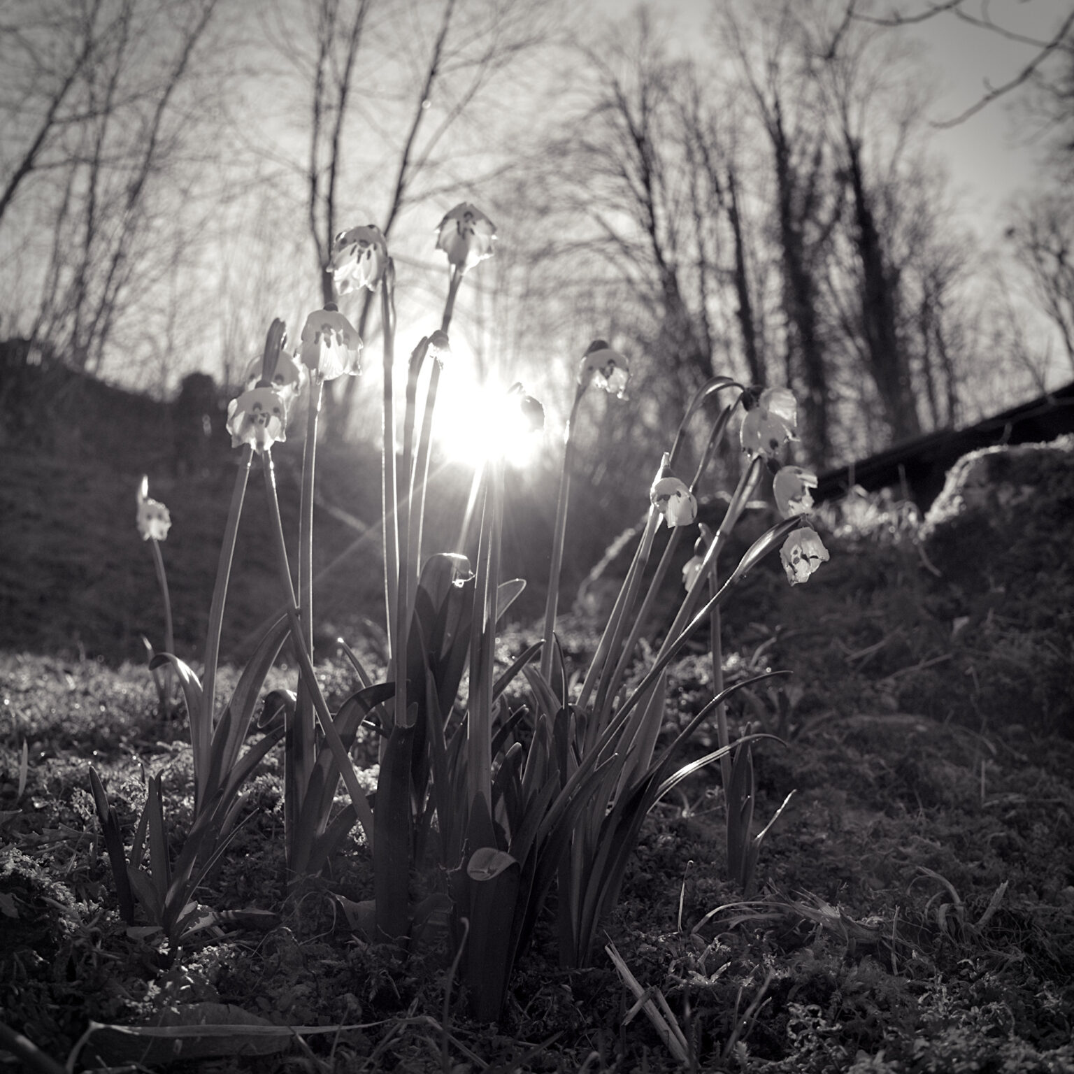 Here comes the Sun