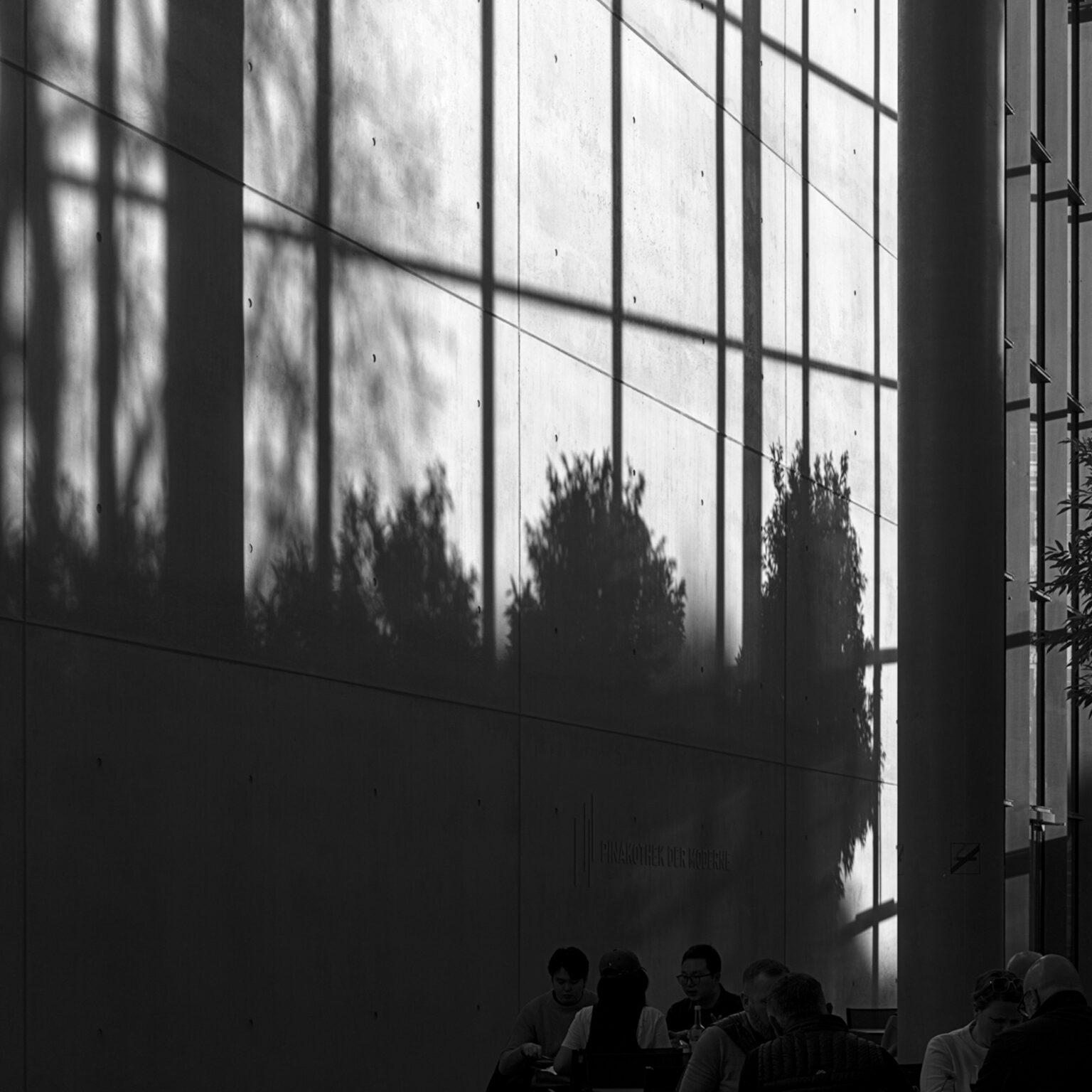 The Trees of Platon