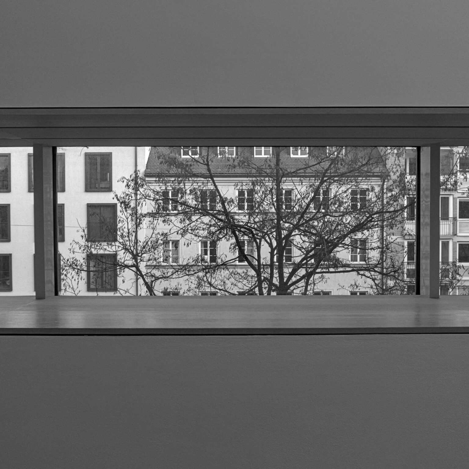 Tree, outside