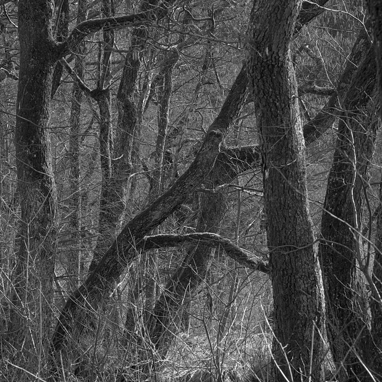 Warmth of an invisible Sun