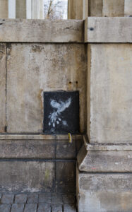 (Peace?) Dove, tousled