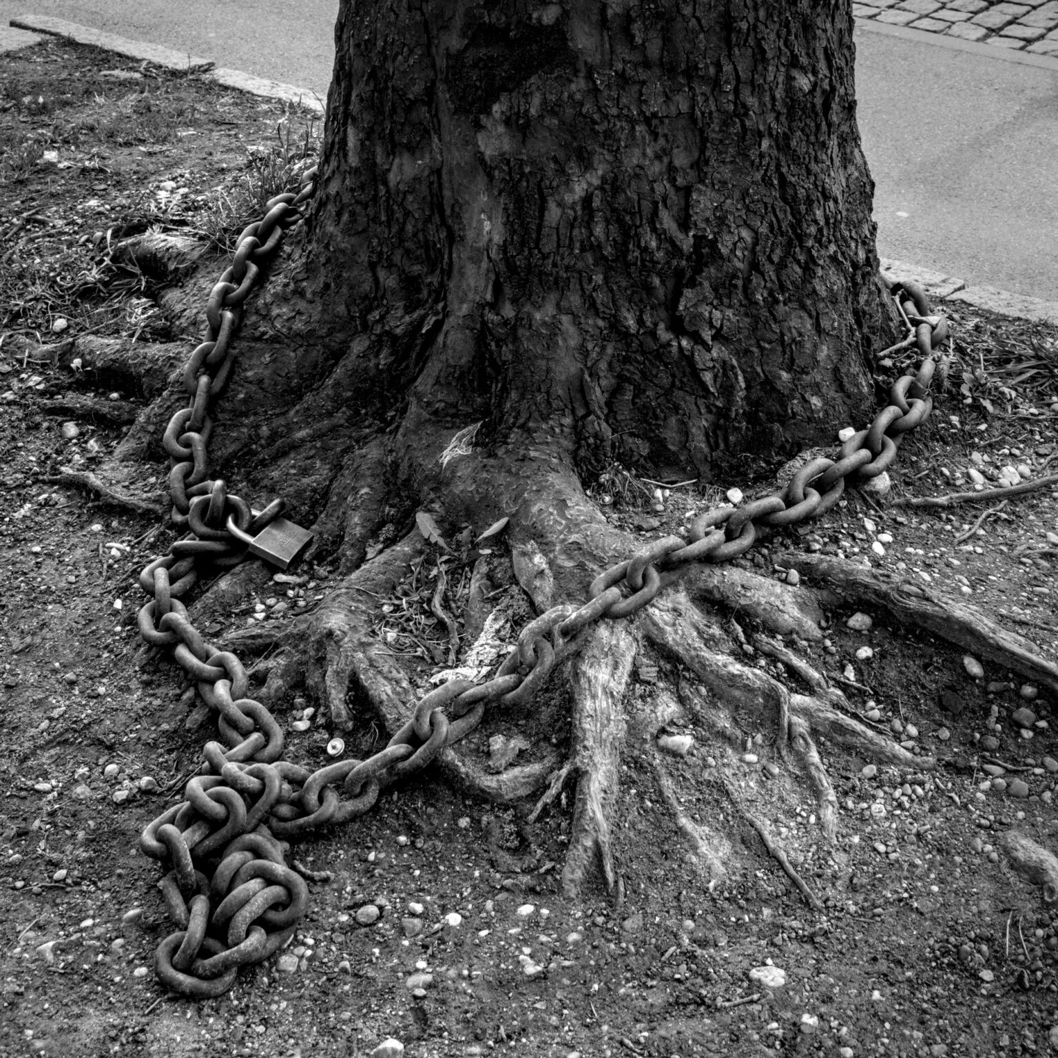 Unchain my Tree