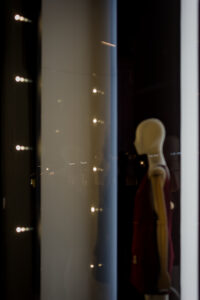 Artificial Life, even less intelligent