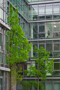 Green breaking through