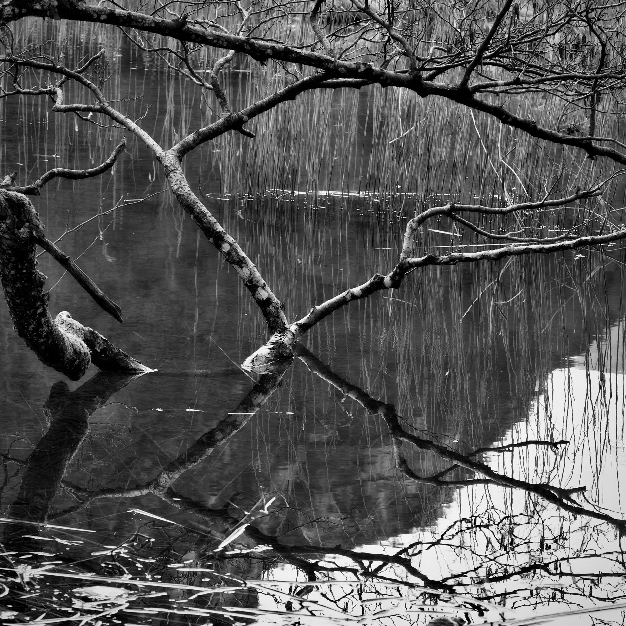 May you take time to celebrate …