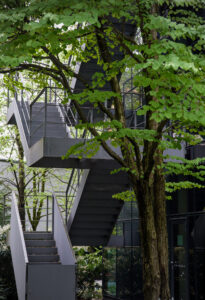 Tree-Trough Fire Escape