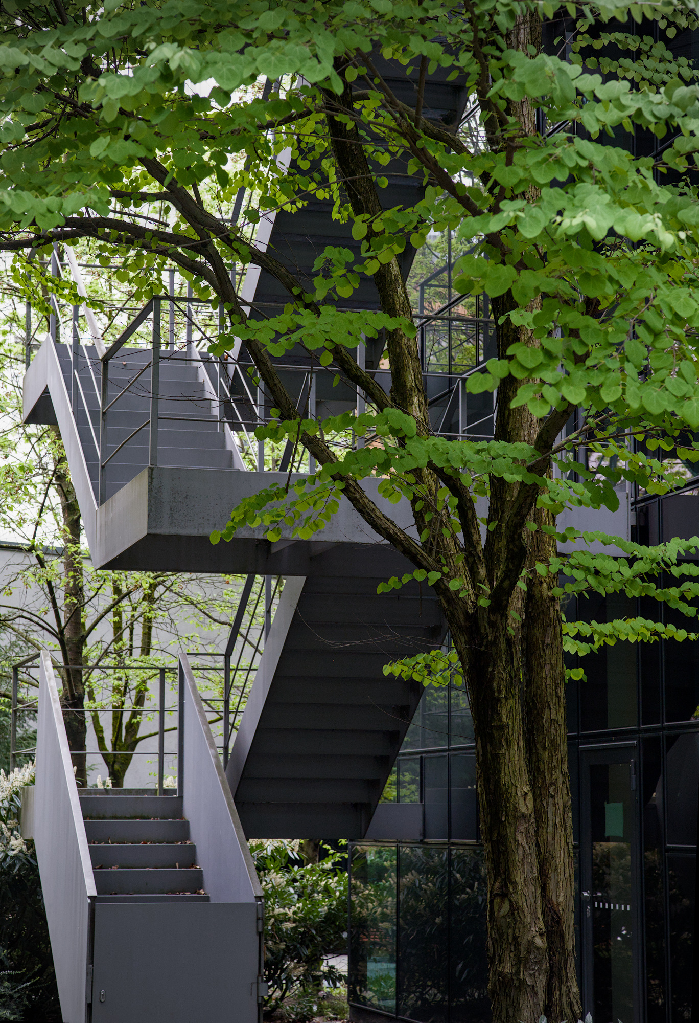 Tree-Trough Fire Escape