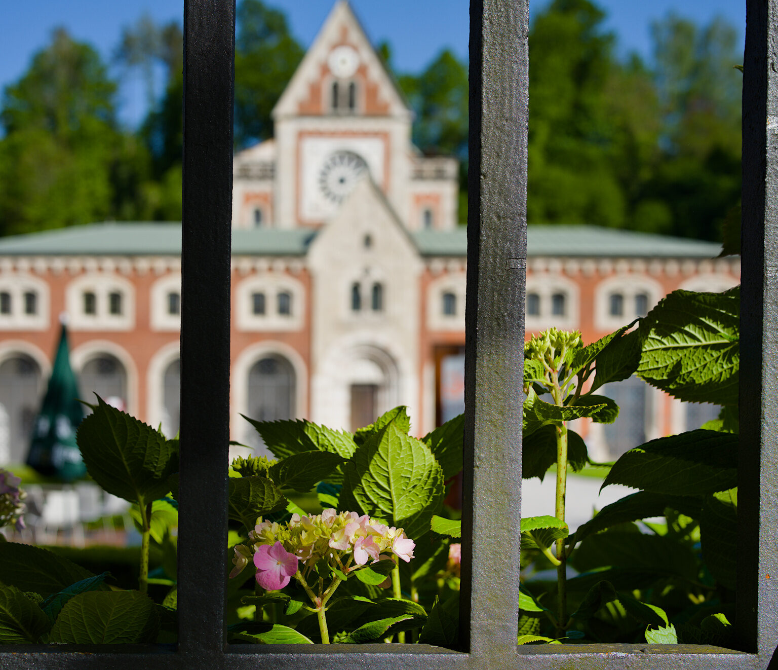 Behind the Fence