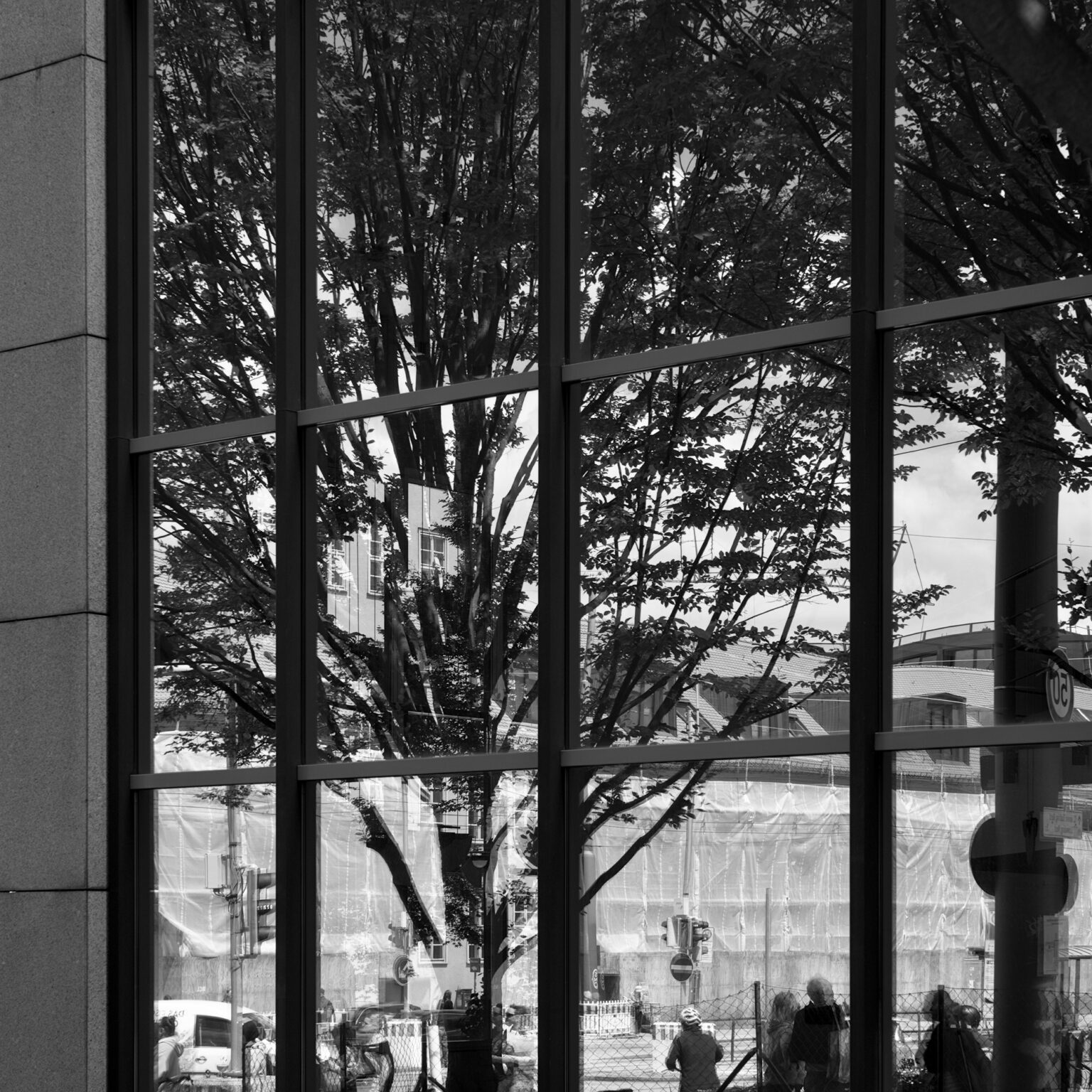 Reflected Reality
