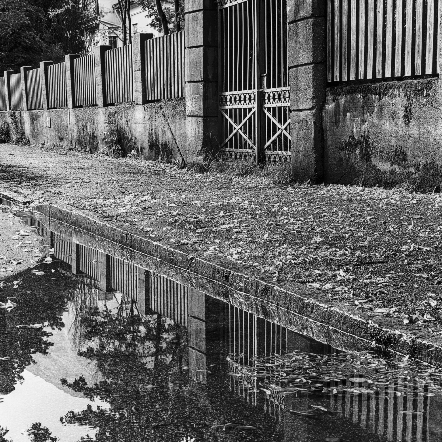 Fence and Puddle