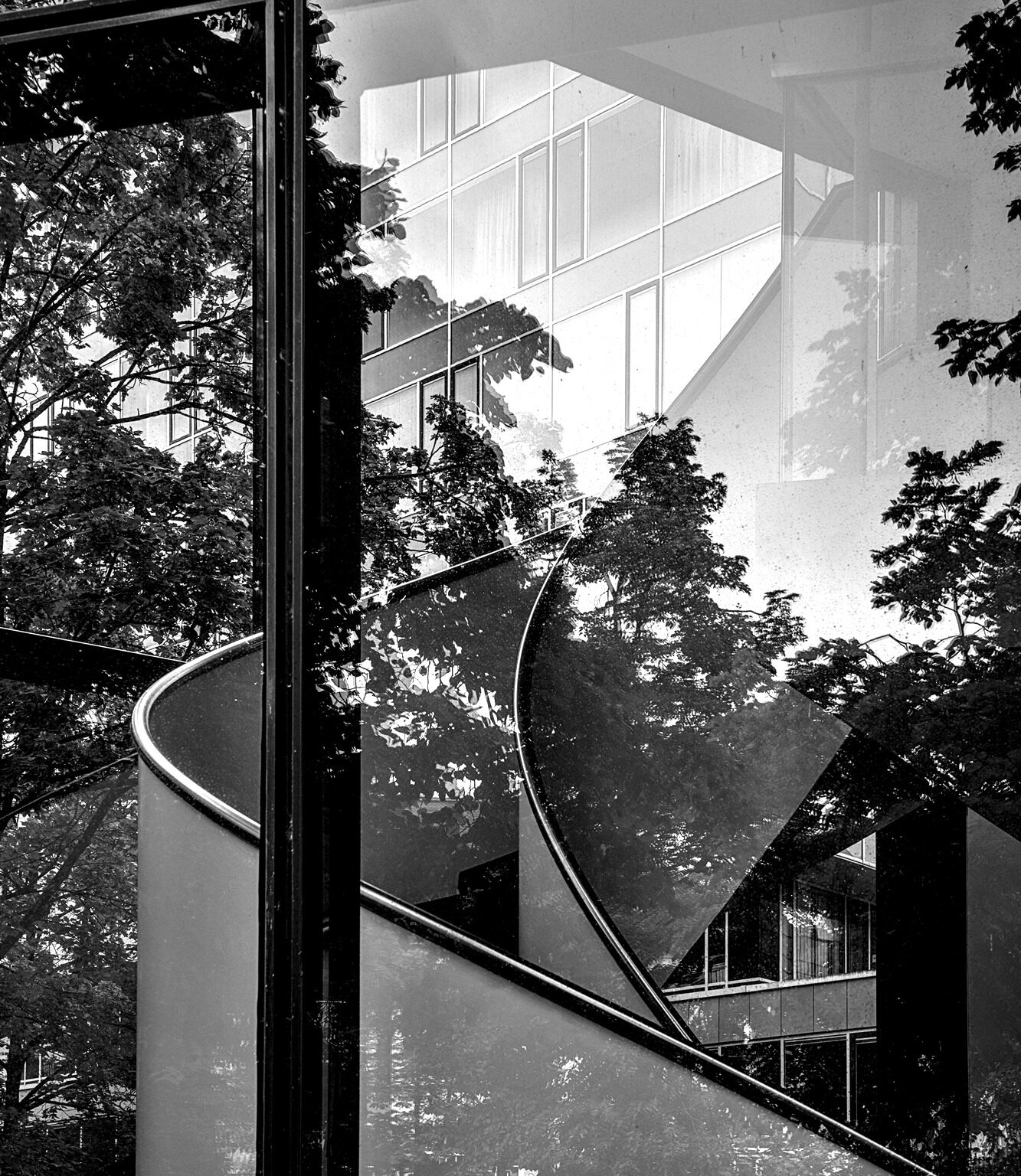 See-Through Trees