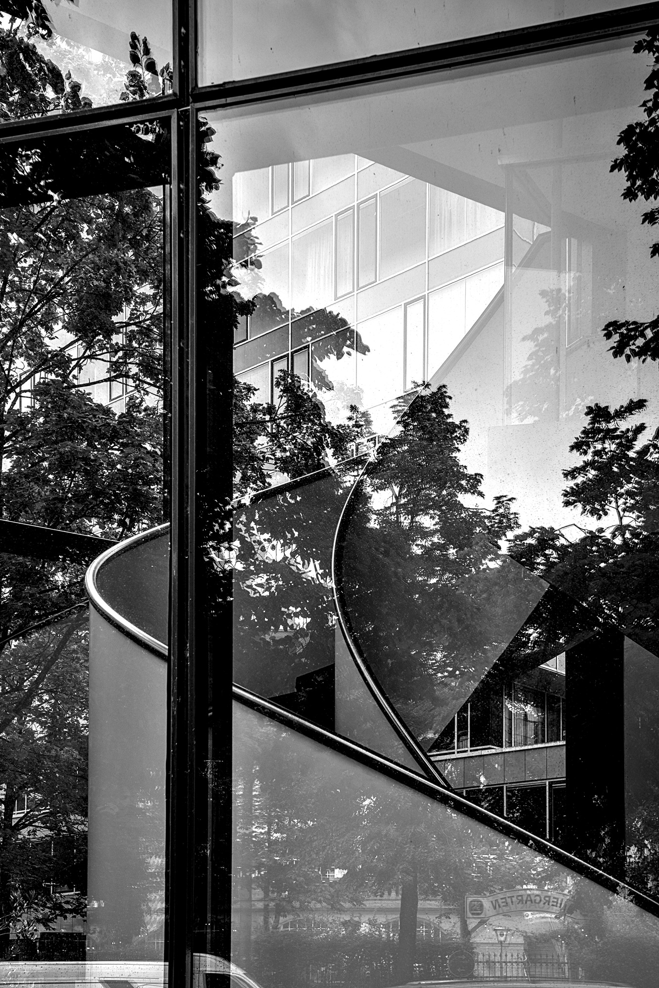See-Through Trees