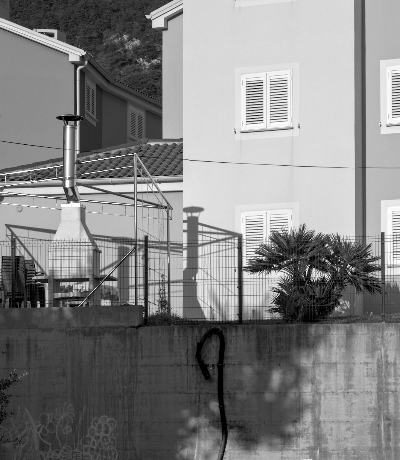 Anakonda on the Wall