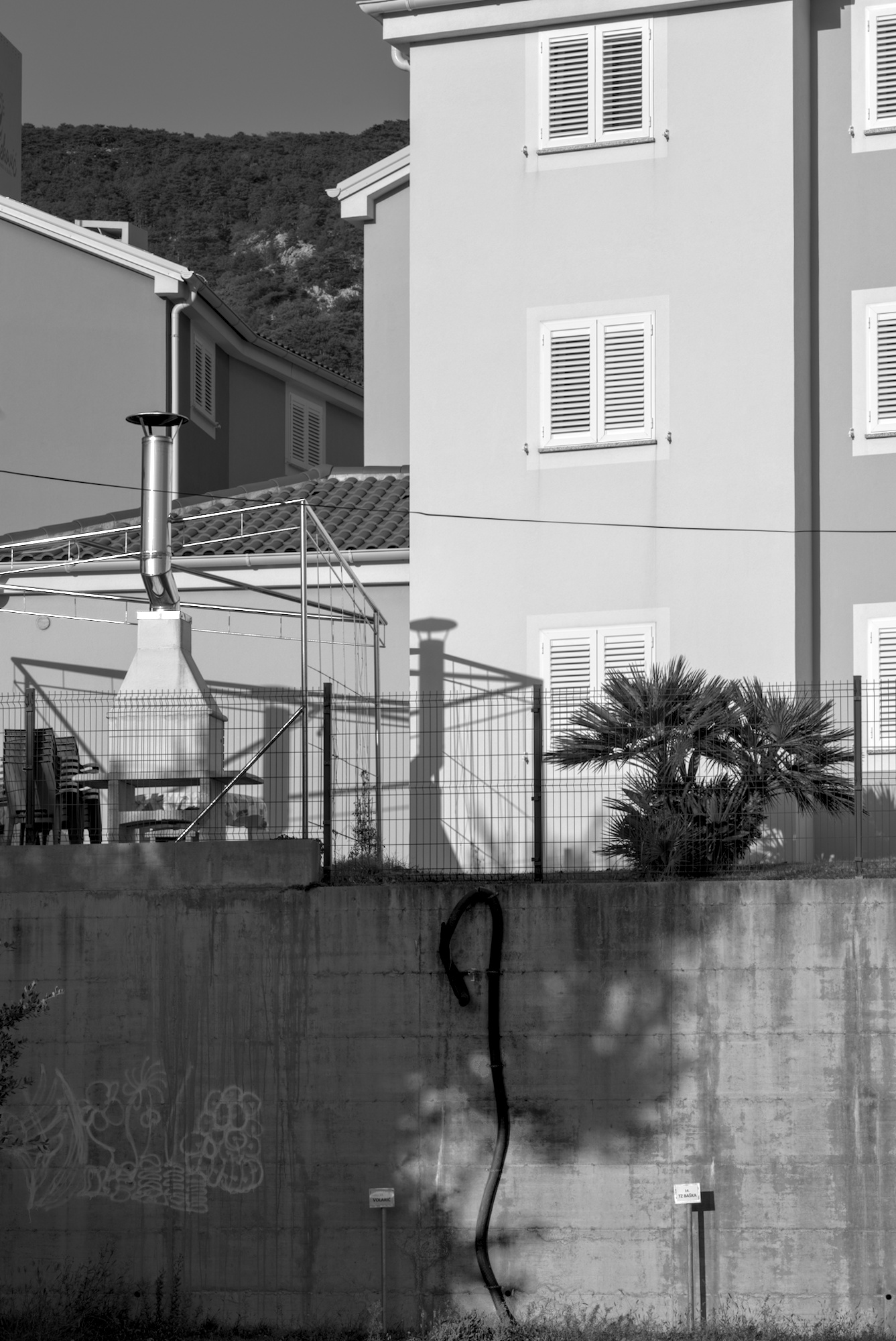 Anakonda on the Wall