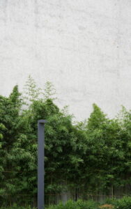 Urban Rainforest (with Wall)