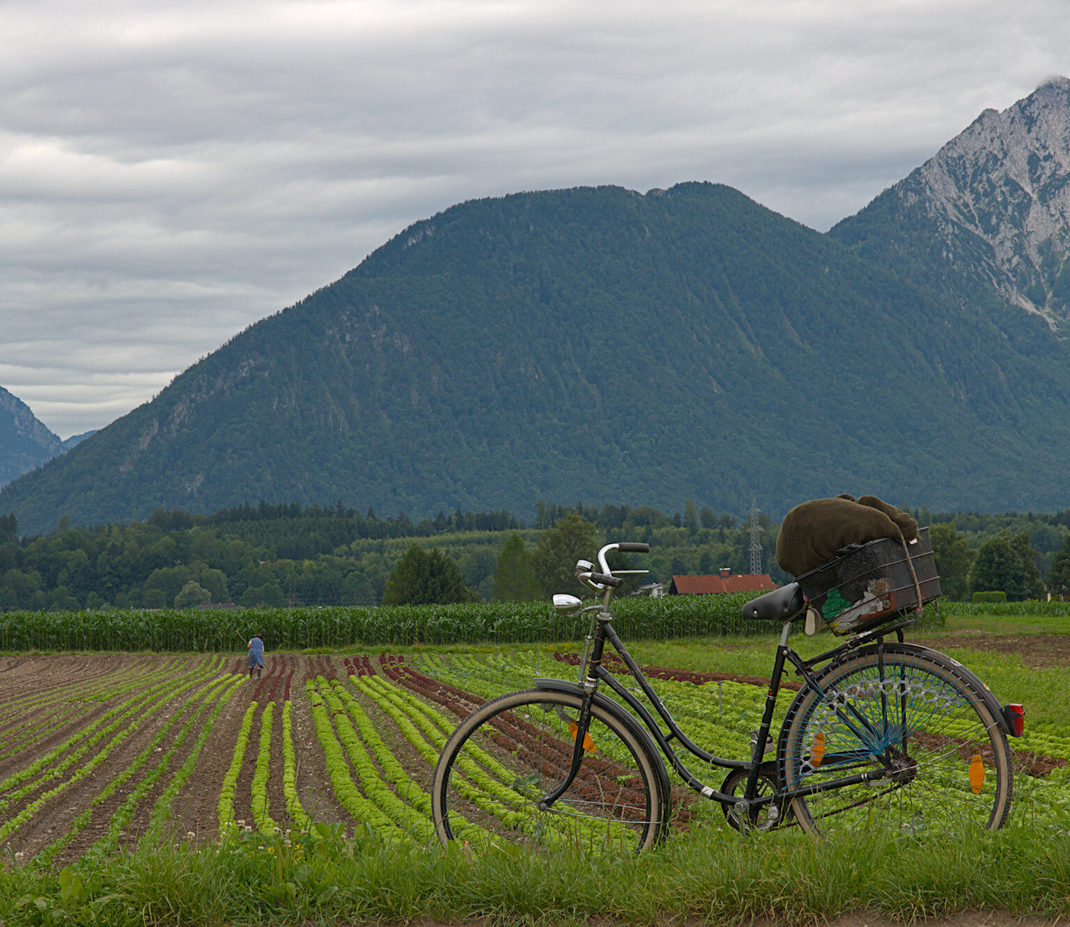 Fahrrad und Bäuerin