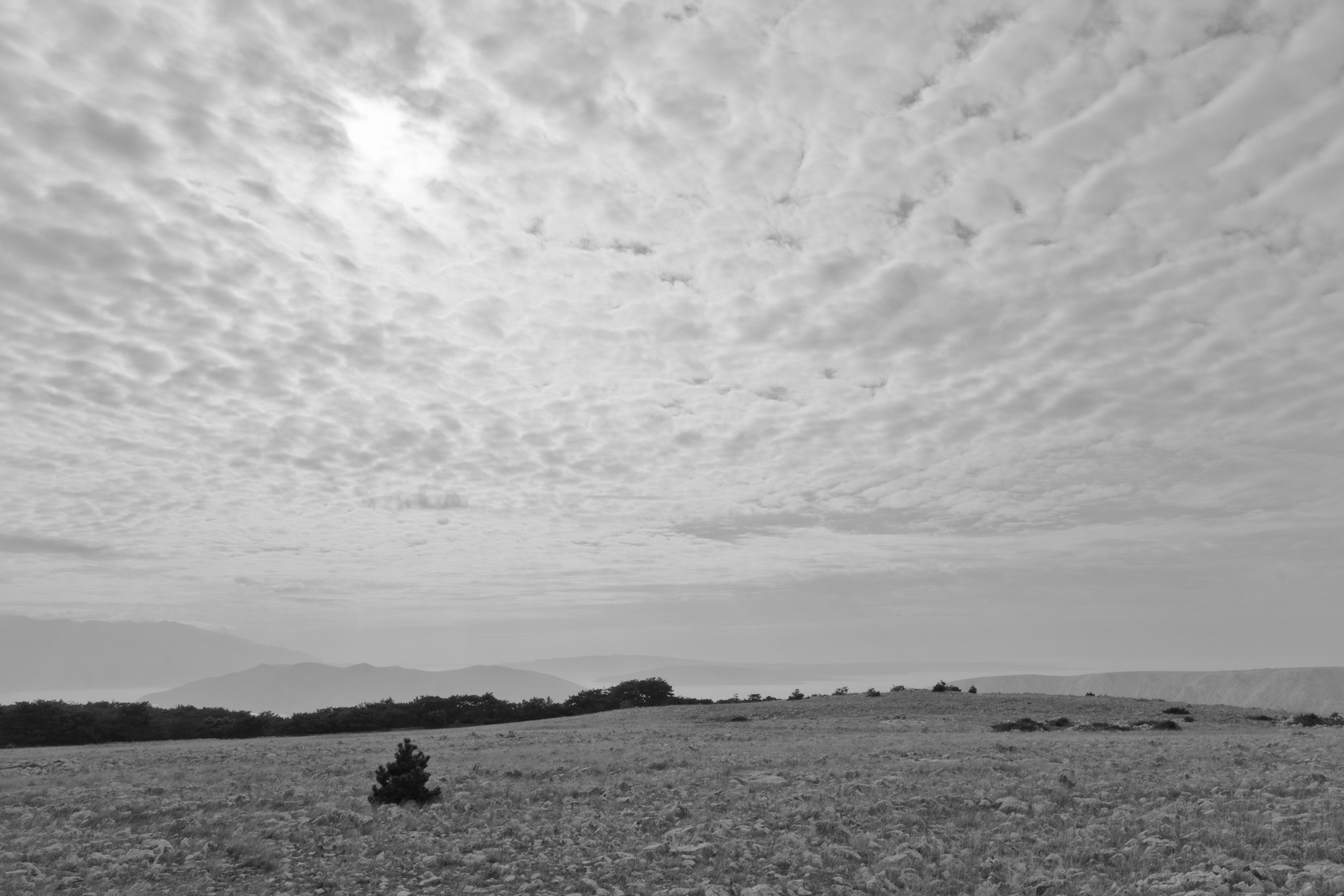 Plateau of the Moon II