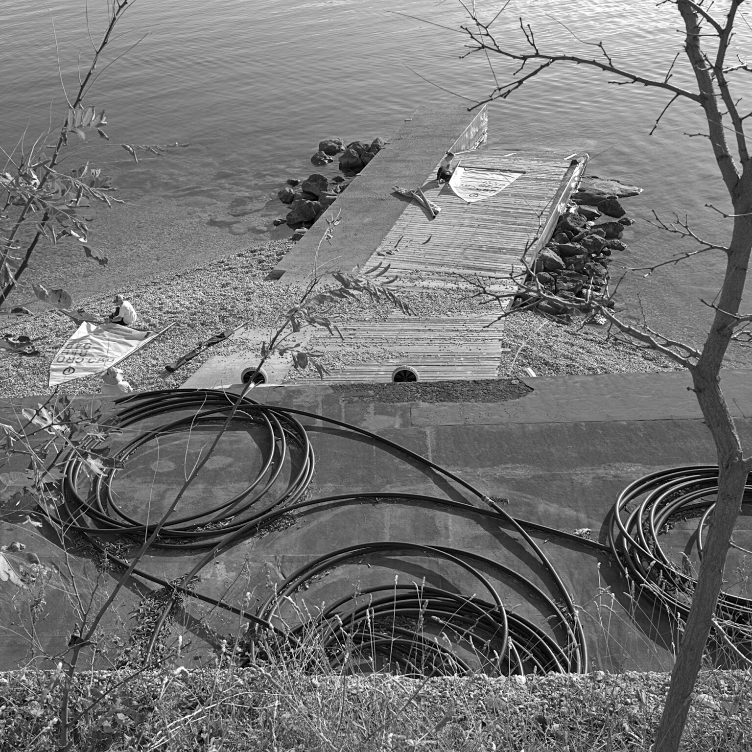 Seaside Still-Life