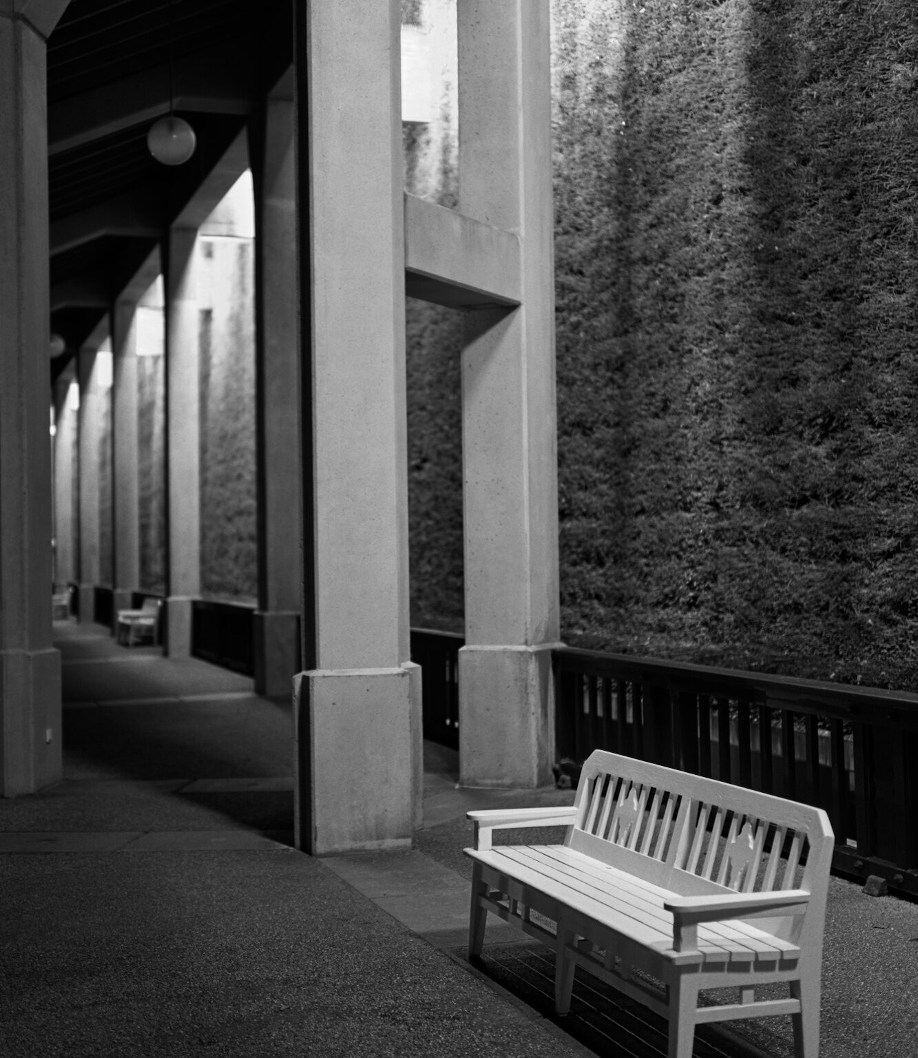 Solitary Bench