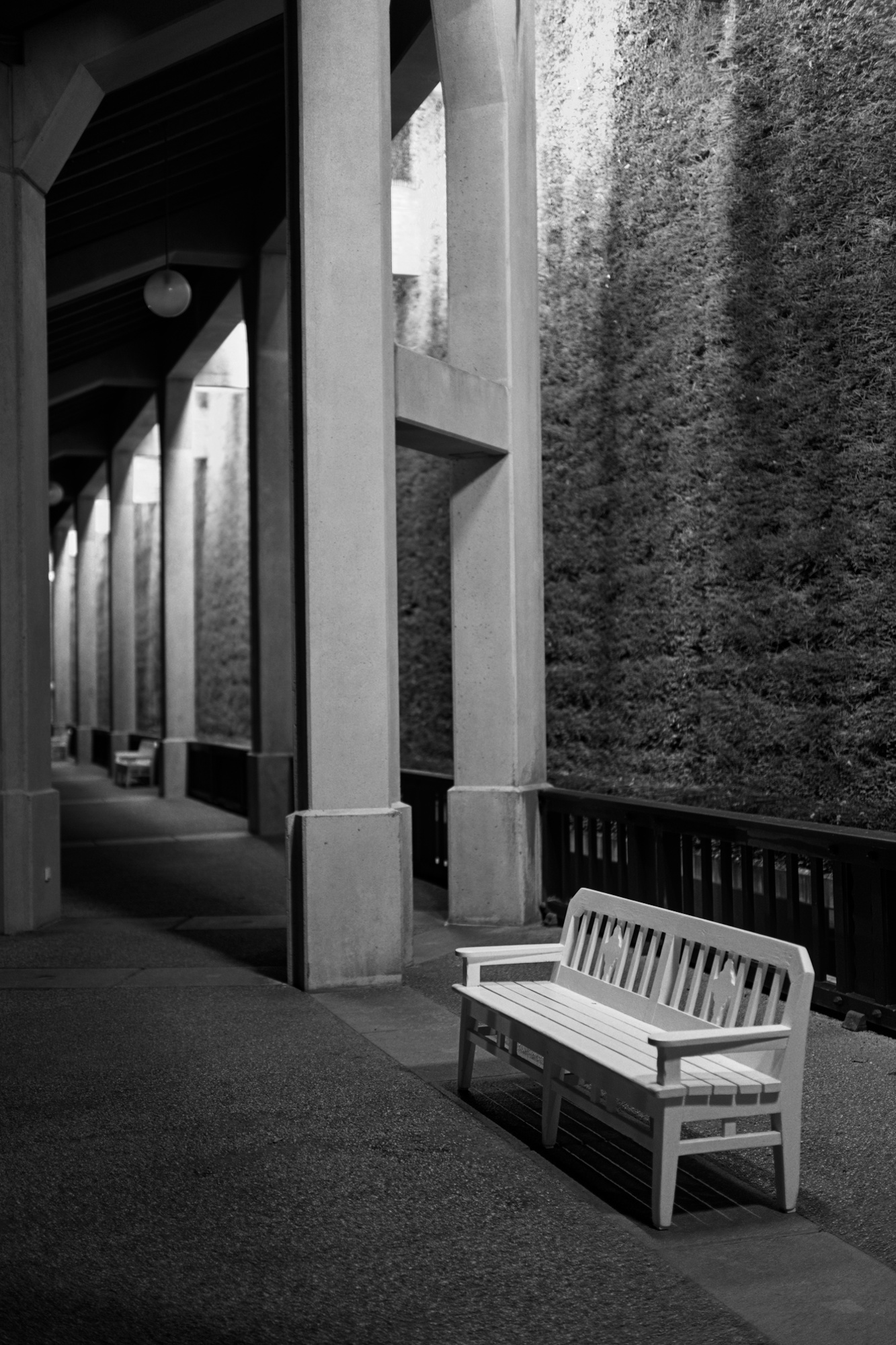 Solitary Bench