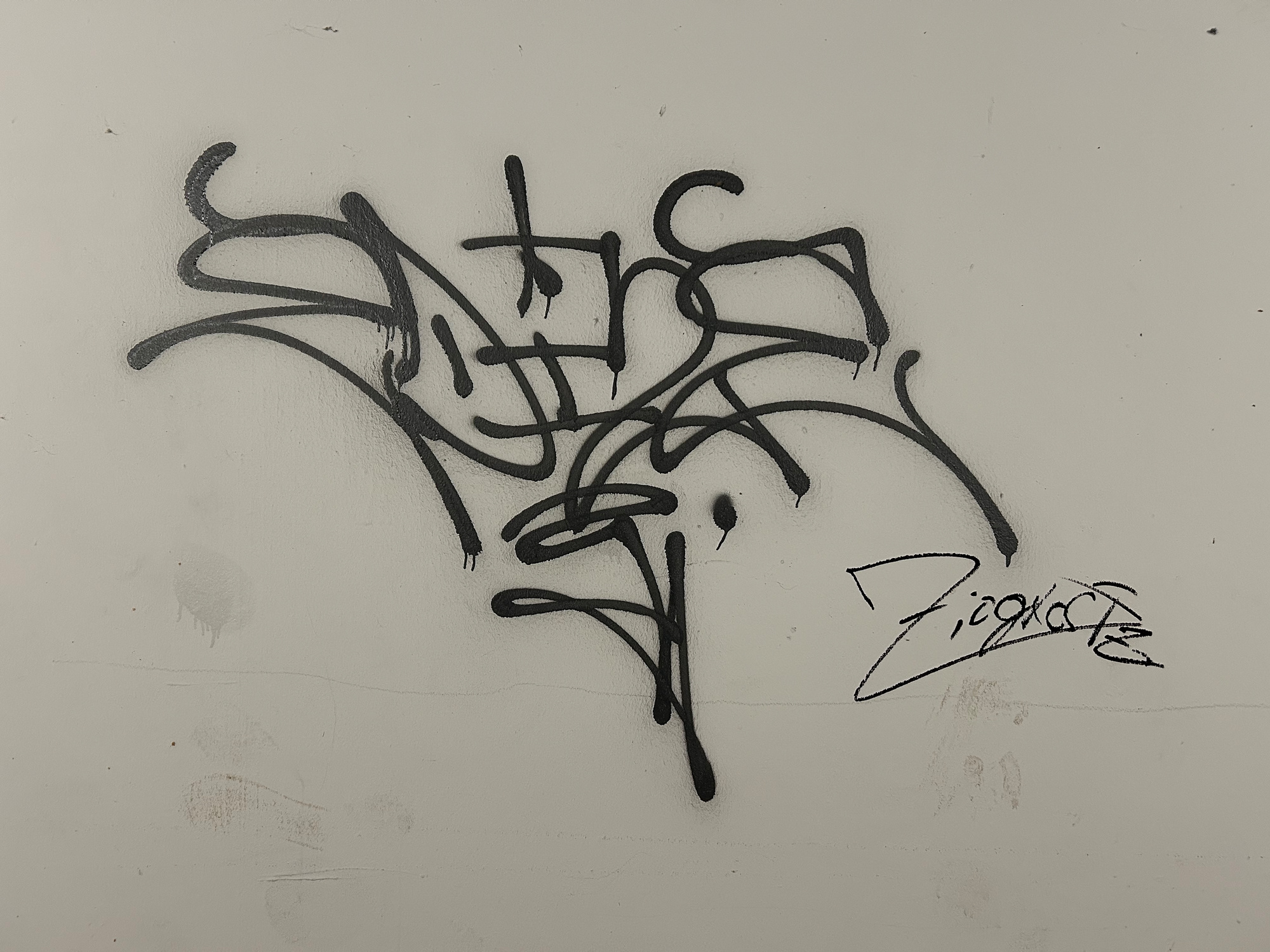 What will the New Year bring?