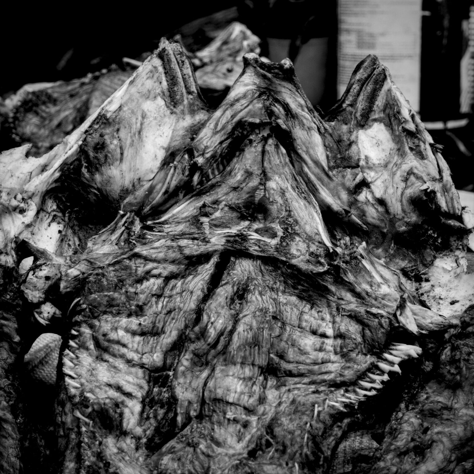 Dried Fish II