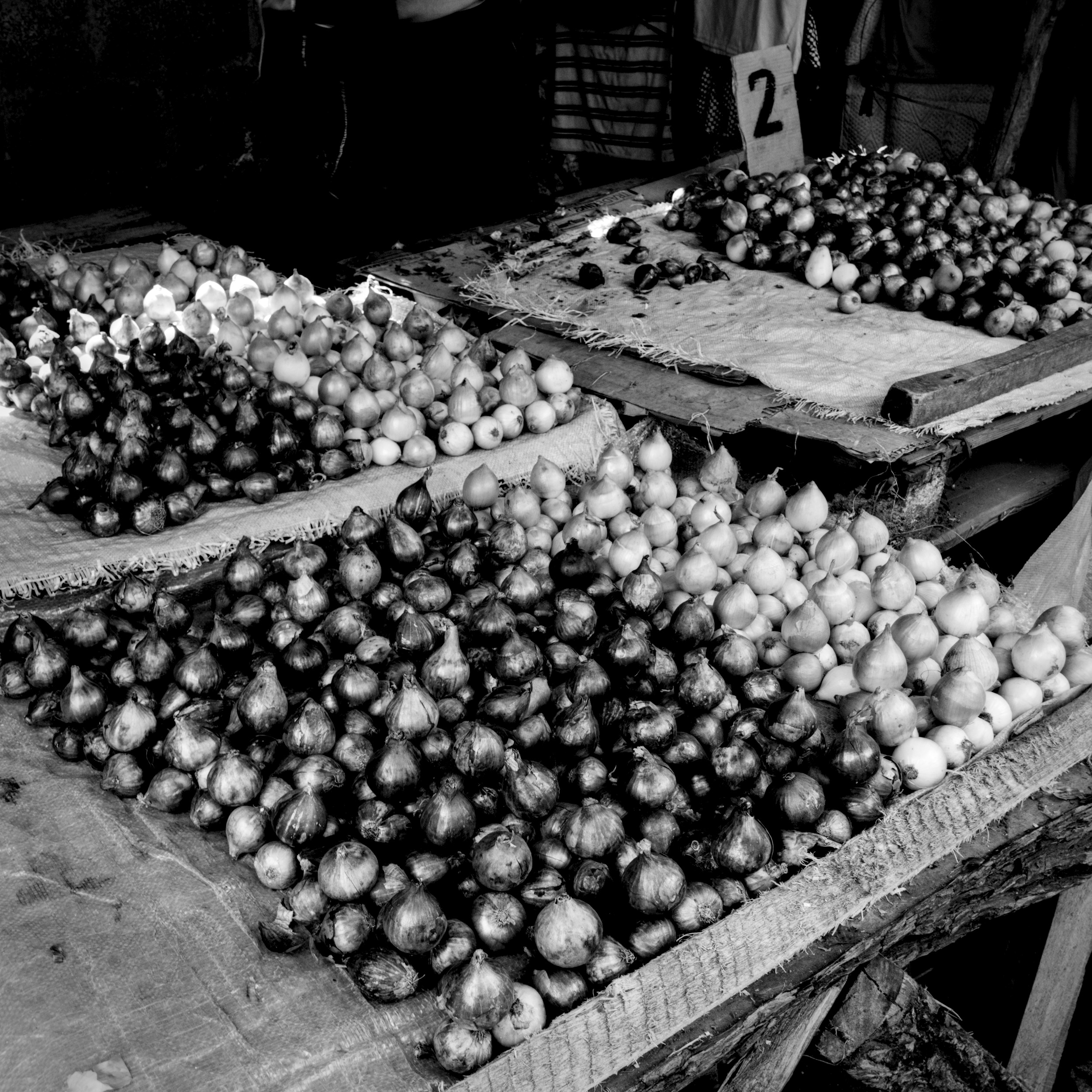 Organised Onions