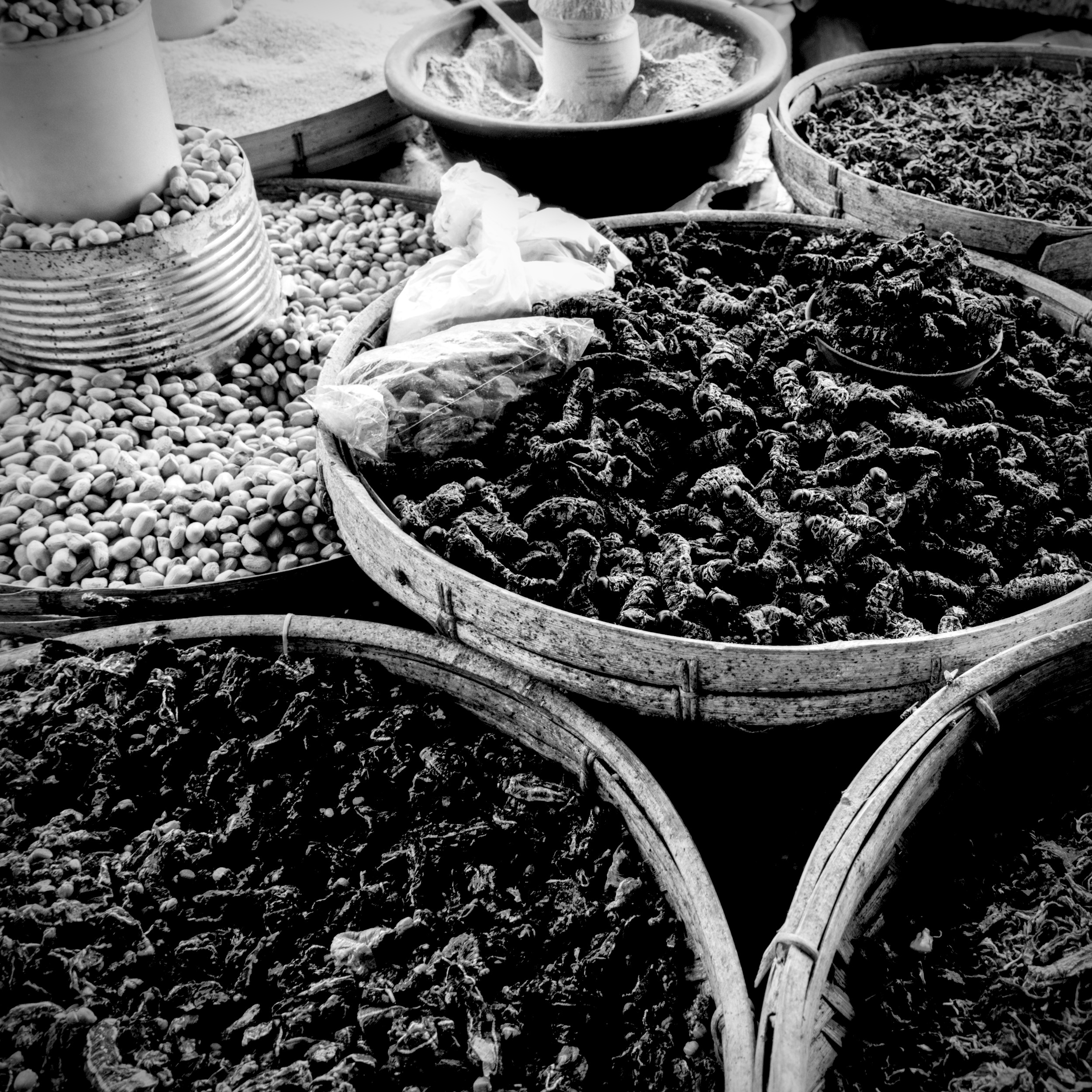 Parboiled Mopani Worms