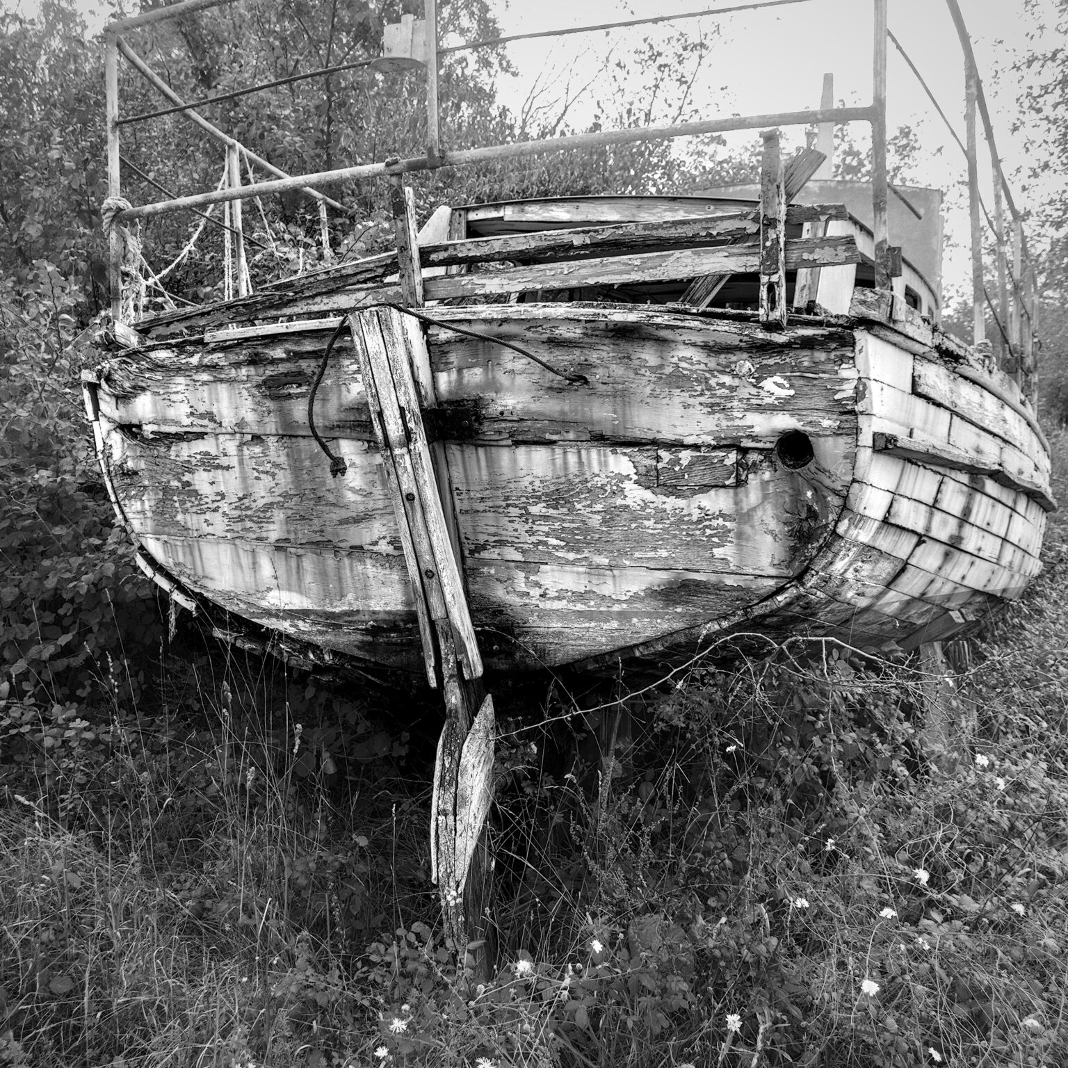 Fitzcarraldo’s Potter’s Field (III)