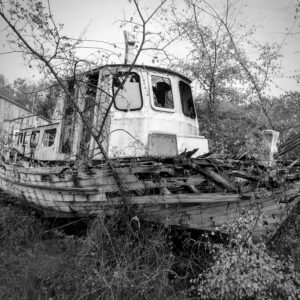 Fitzcarraldo’s Potter’s Field (IV)