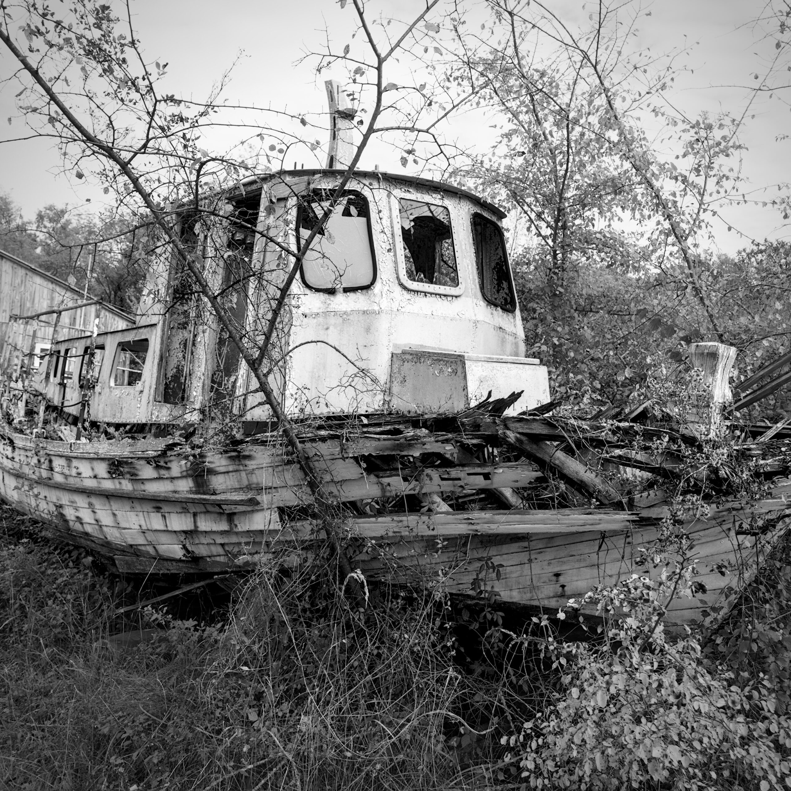 Fitzcarraldo’s Potter’s Field (IV)