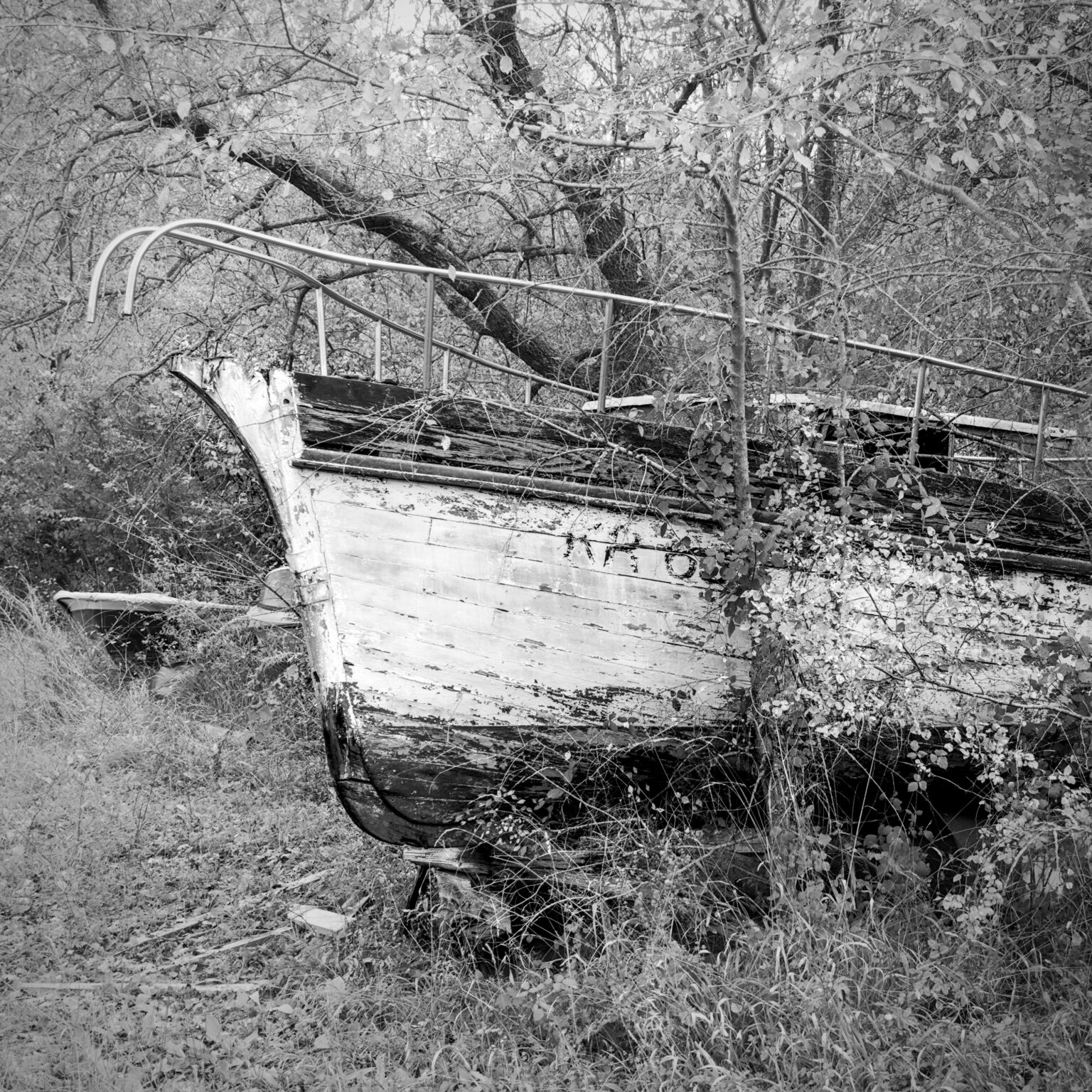 Fitzcarraldo’s Potter’s Field (V)