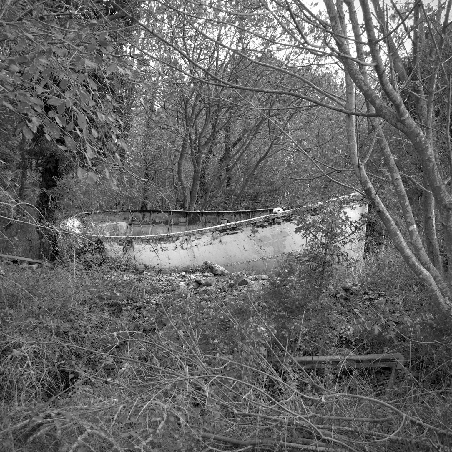 Fitzcarraldo’s Potter’s Field (VI)