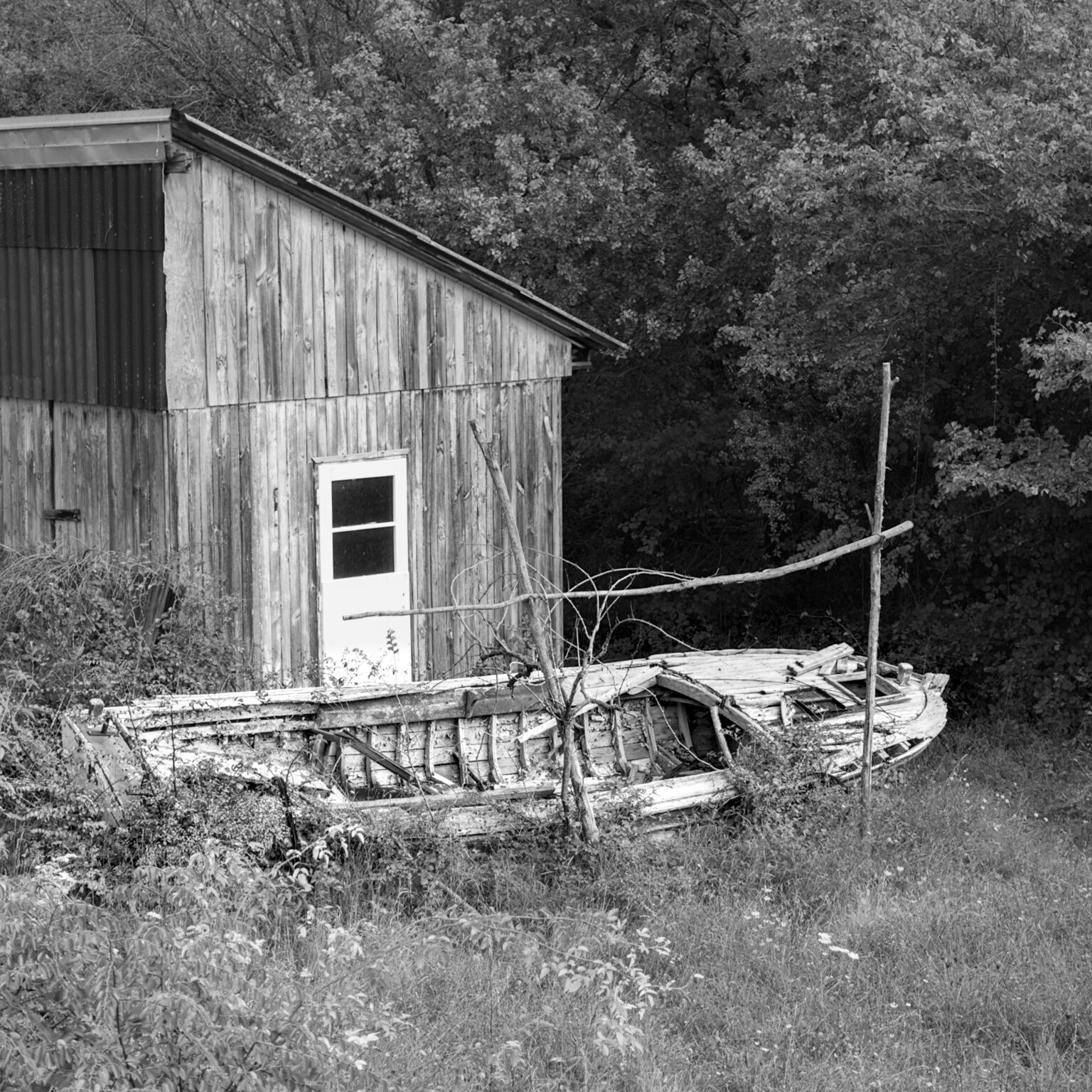 Fitzcarraldo’s Potter’s Field (VII)