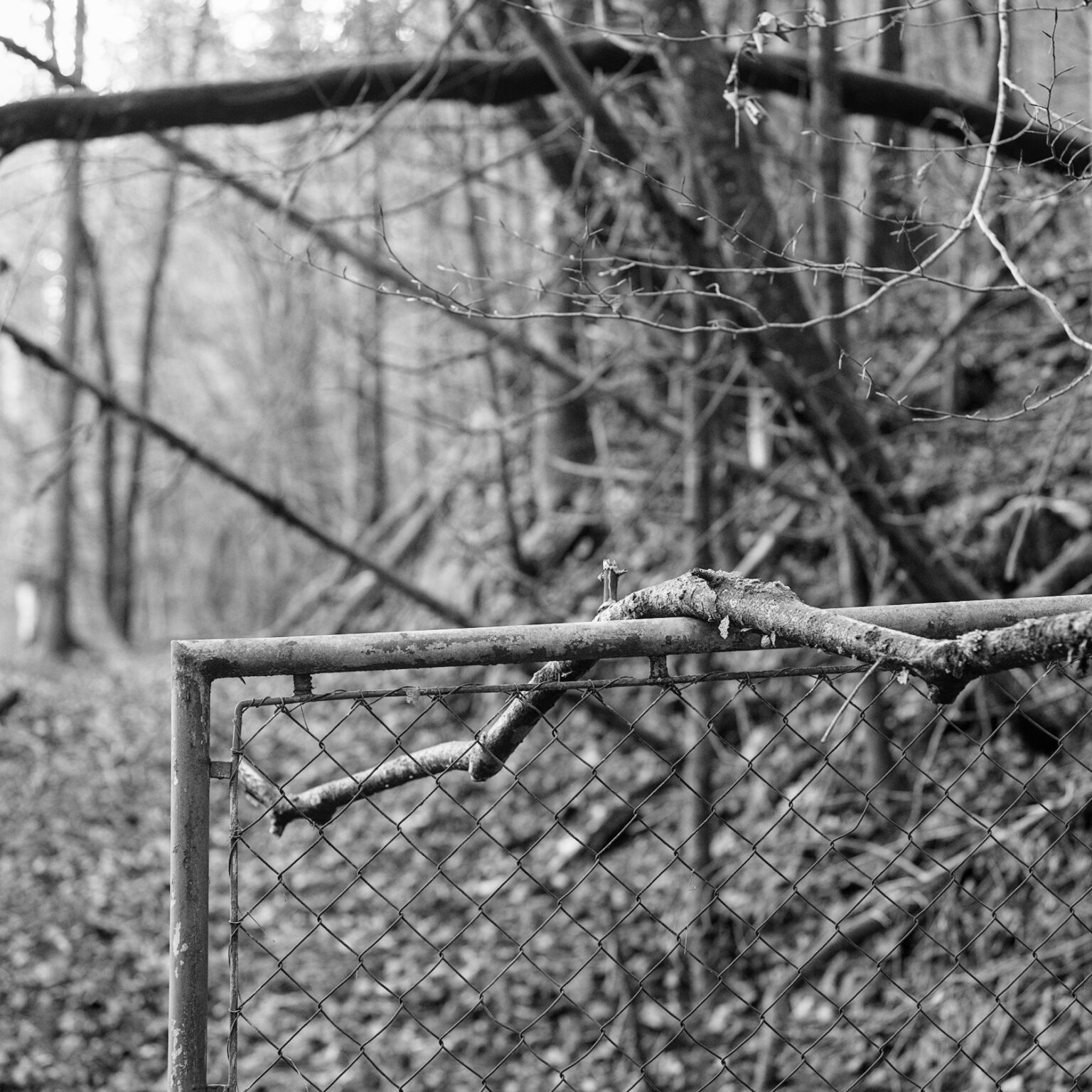 Abandoned Gate